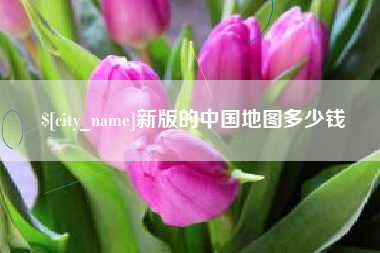 河间新版的中国地图多少钱