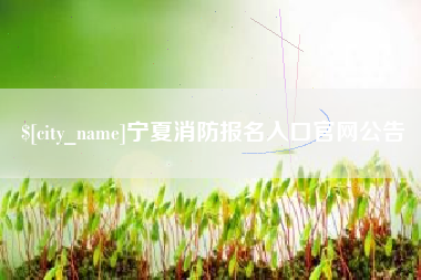 河间宁夏消防报名入口官网公告
