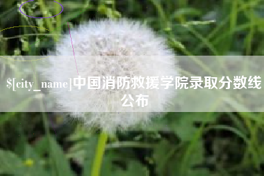 河间中国消防救援学院录取分数线公布