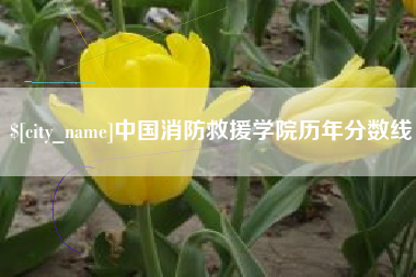 河间中国消防救援学院历年分数线