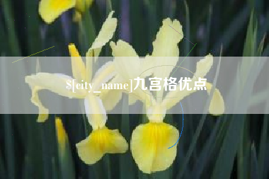 河间九宫格优点