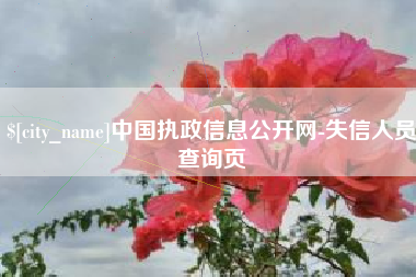 河间中国执政信息公开网-失信人员查询页