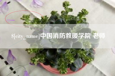 河间中国消防救援学院 老师