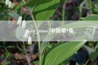 河间中国第9金