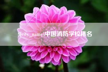 河间中国消防学校排名
