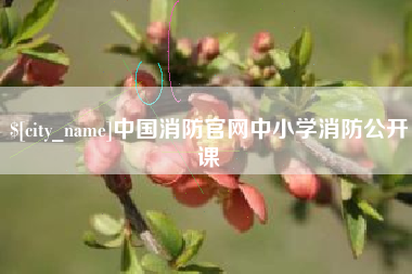河间中国消防官网中小学消防公开课