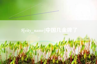 河间中国几金牌了