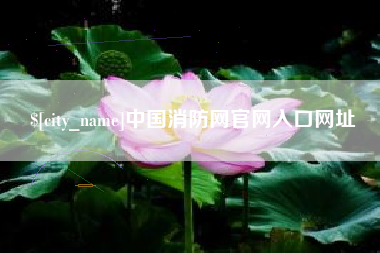 河间中国消防网官网入口网址