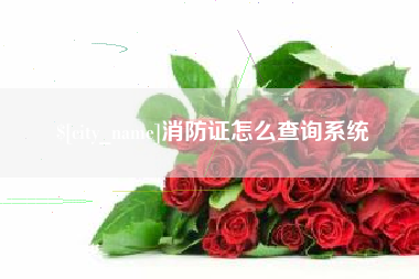 河间消防证怎么查询系统