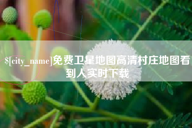 河间免费卫星地图高清村庄地图看到人实时下载