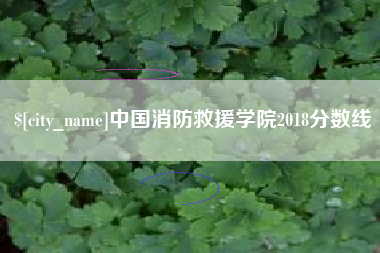 河间中国消防救援学院2018分数线
