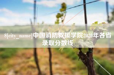 河间中国消防救援学院2020年各省录取分数线