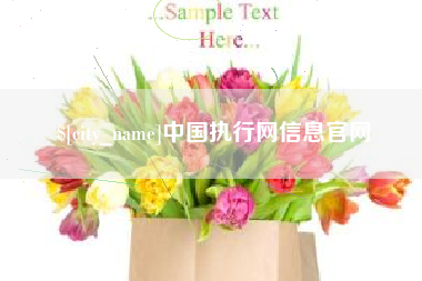 河间中国执行网信息官网
