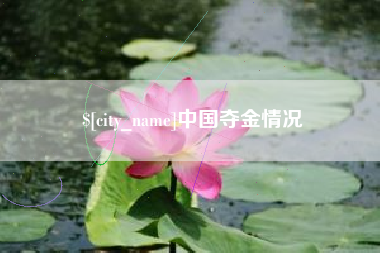 河间中国夺金情况