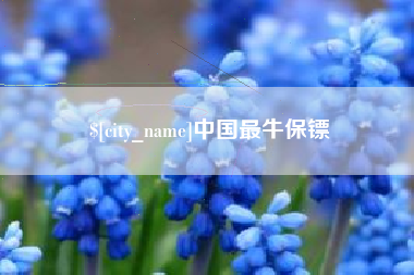 河间中国最牛保镖