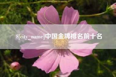 河间中国金牌排名前十名