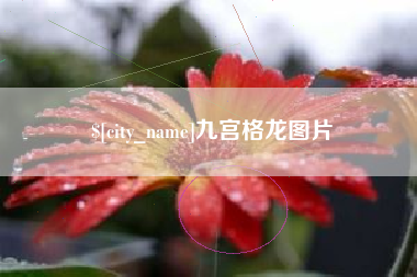 河间九宫格龙图片