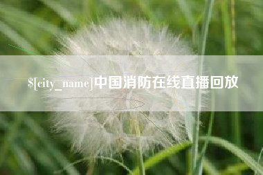 河间中国消防在线直播回放