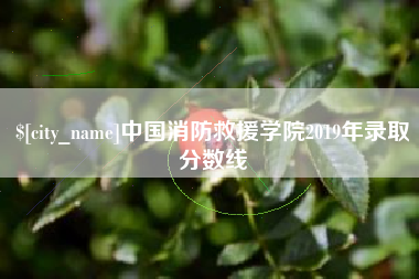 河间中国消防救援学院2019年录取分数线