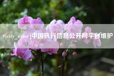 河间中国执行信息公开网平台维护