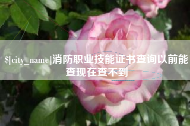 河间消防职业技能证书查询以前能查现在查不到