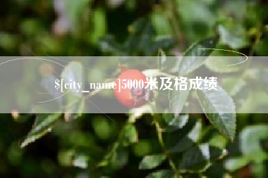河间5000米及格成绩