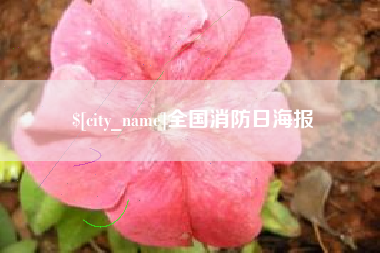 河间全国消防日海报