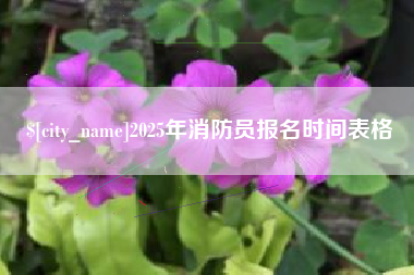 河间2025年消防员报名时间表格