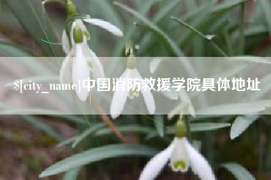 河间中国消防救援学院具体地址