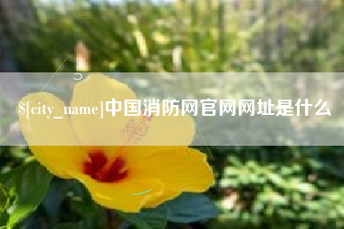 河间中国消防网官网网址是什么