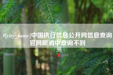 河间中国执行信息公开网信息查询官网限消中查询不到
