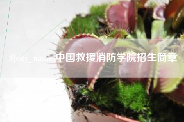 河间中国救援消防学院招生简章
