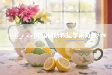 河间中国消防救援学院分数2020