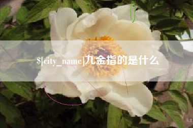 河间九金指的是什么