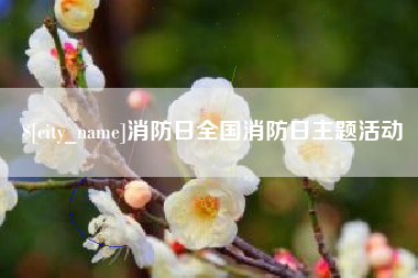 河间消防日全国消防日主题活动