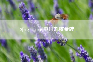 河间中国九枚金牌