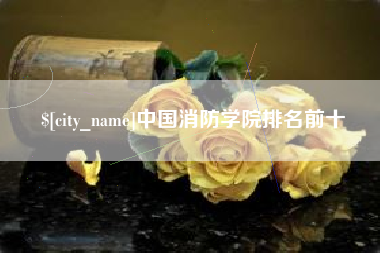 河间中国消防学院排名前十