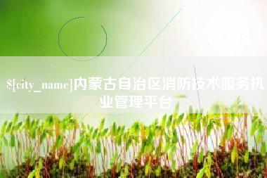 河间内蒙古自治区消防技术服务执业管理平台