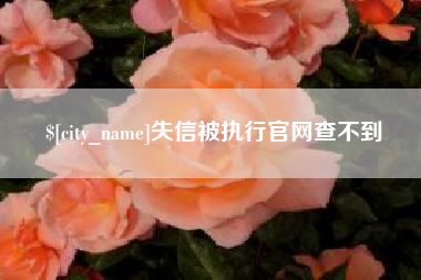 河间失信被执行官网查不到