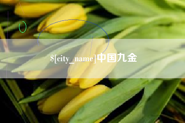 河间中国九金