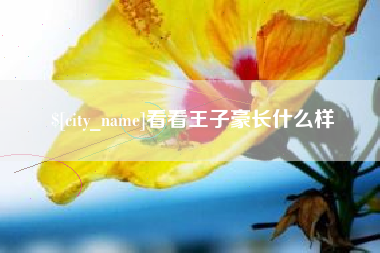 河间看看王子豪长什么样