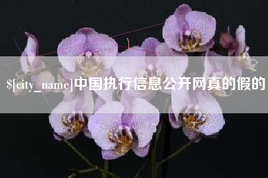 河间中国执行信息公开网真的假的