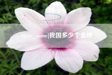 河间我国多少个金牌