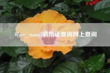 河间消防证查询网上查询