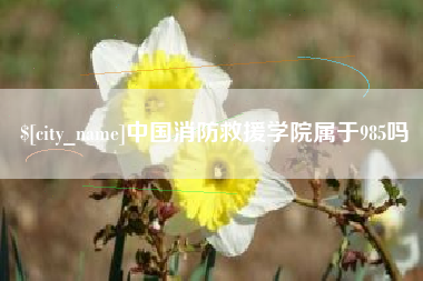 河间中国消防救援学院属于985吗