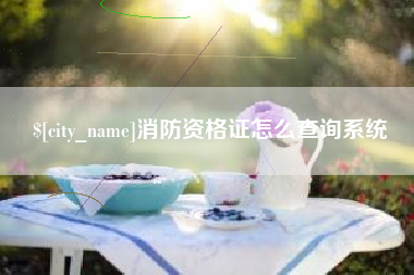 河间消防资格证怎么查询系统