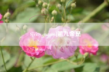 河间第九金是