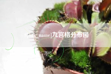 河间九宫格分布图