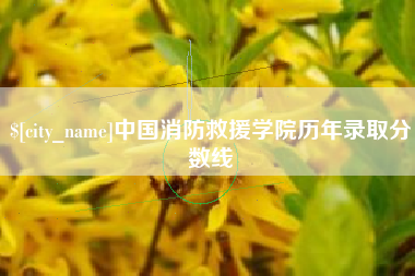 河间中国消防救援学院历年录取分数线
