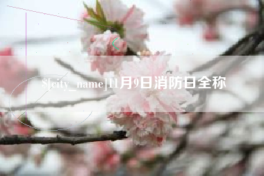 河间11月9日消防日全称